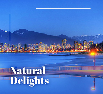 Natural Delights Explorer