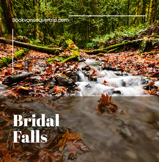 Bridal Fall Vancouver Canada