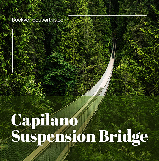 Capilano suspension bridge