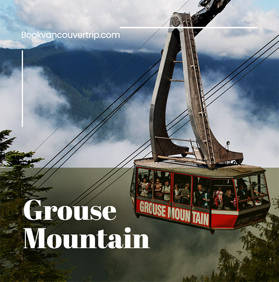Grouse mountain