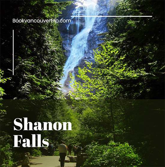 Shanon falls