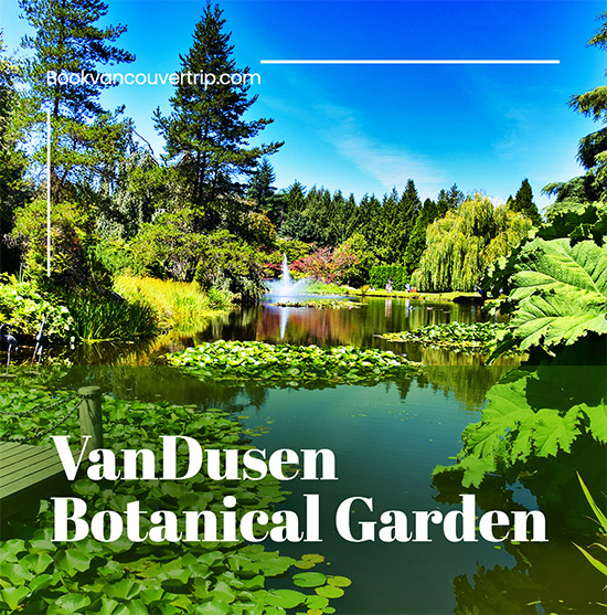VanDusen Botanical Garden