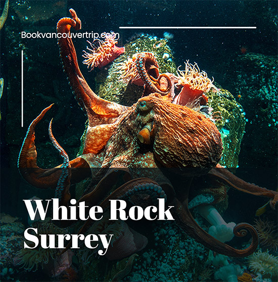 White Rock Surrey