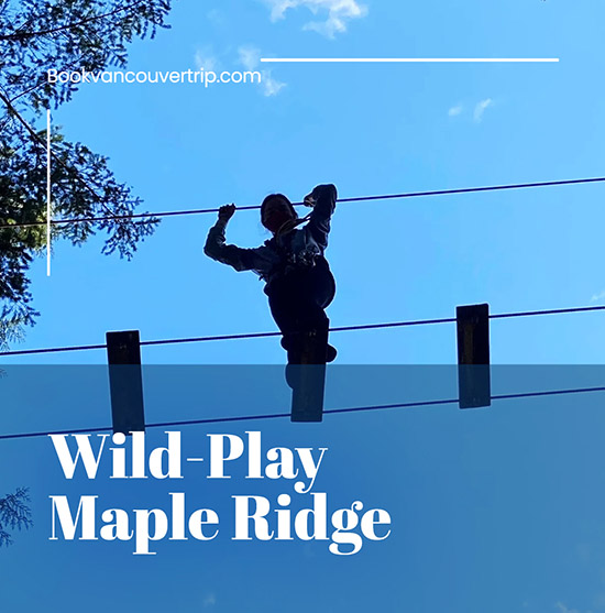 Wild-play maple ridge